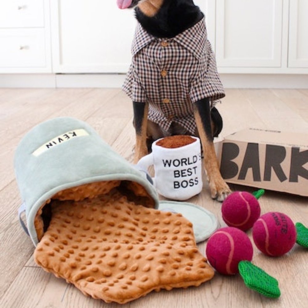 Bark Box The Office "Kevin's Chili" XL Dog Toy